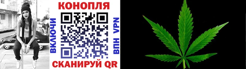 Марихуана OG Kush Байкальск